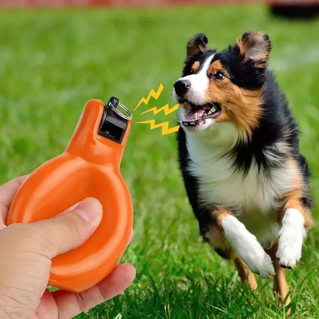 Benson Knijpfluit / Handfluit met Koord – Oranje – Compact kunststof fluitje