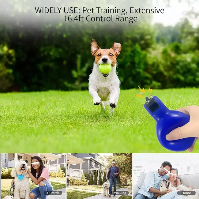 Benson Knijpfluit / Handfluit met Koord – Blauw – Compact kunststof fluitje