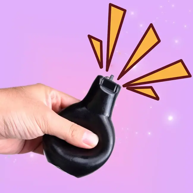 Benson Knijpfluit / Handfluit met Koord – Zwart – Compact kunststof fluitje