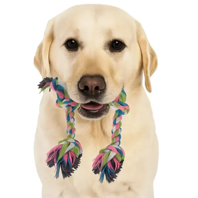 Purlov Honden Speelgoed Set 16-in-1 – Duurzaam Kauw- & Trekspeelgoed