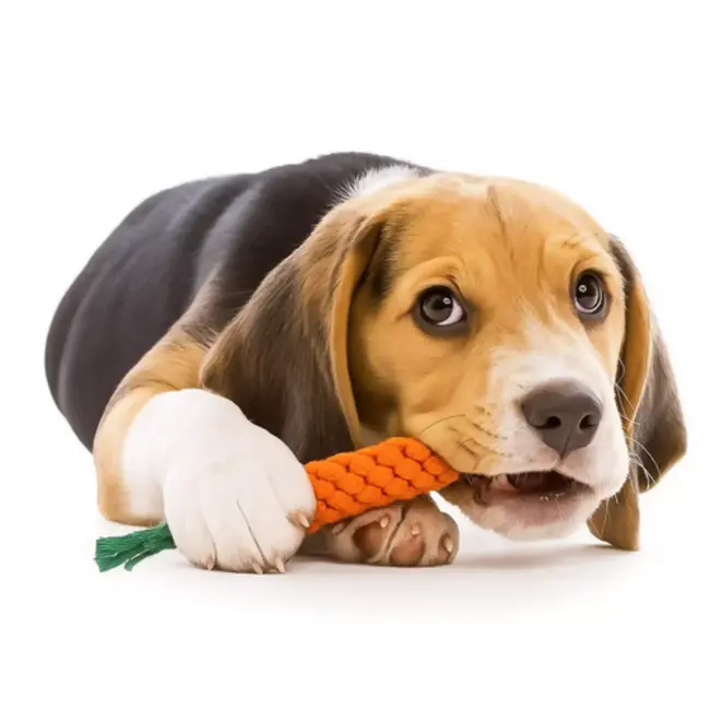 Purlov Honden Speelgoed Set 16-in-1 – Duurzaam Kauw- & Trekspeelgoed