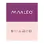 Maaleo Borduurgaren Set 150-delig – Mulina Kleuren + Draadsnijder