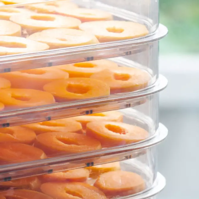 Ruhhy Voedseldroger 10L – 24u Timer en LCD Display – Droger voor Champignons en Fruit – Compact en Krachtig