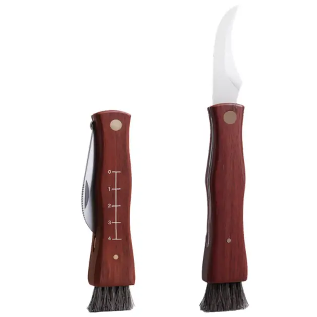 Ruhhy Voedseldroger 10L – 24u Timer en LCD Display – Droger voor Champignons en Fruit – Compact en Krachtig