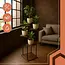 Ruhhy plantenstandaard 107 cm – 5 lagen loft plantentrap