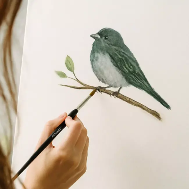 Maaleo Penseelset 11-delig – Perfect voor Fijn Schilderwerk