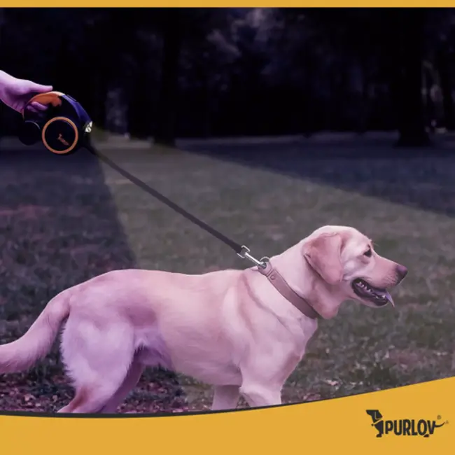 Purlov hondenlijn 5 m met LED‑zaklamp en éénhands rem – nylon band, antislip greep, tot 15 kg
