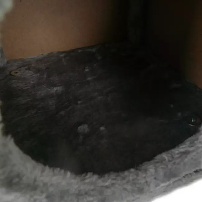 Purlov kattenmand met poten – sisal krabpaal & huis – 38×32×32 cm