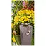 Lifetime Plantenbak met beton-look en verchroomde bowl - 40,5x15x15 cm - Decoratief ontwerp met harten