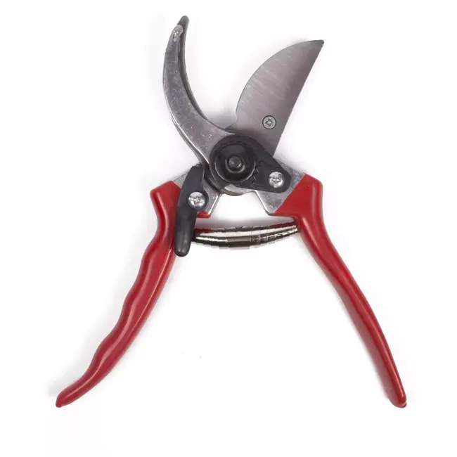 Benson Vergrendelbare snoeischaar - gekromd onderblad - 21 cm - rood