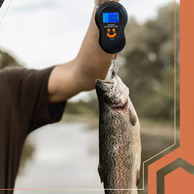 Ruhhy digitale haakweegschaal 50 kg – reisweger met LCD-scherm en tarefunctie