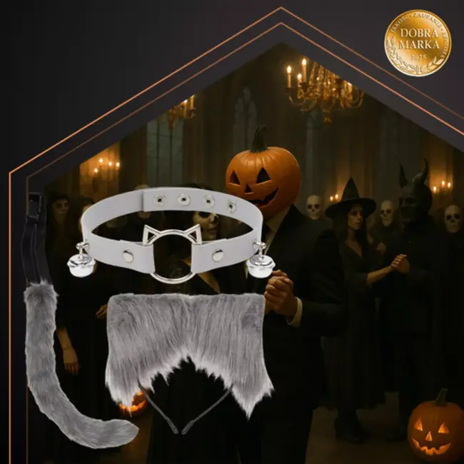 Ruhhy Grijze kattenaccessoireset met oortjes, staart en halsband met belletjes