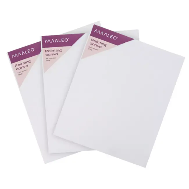 Maaleo schilderset 26-delig – complete acrylverf set met penselen, doeken en palet voor creatieve beginners en kunstenaars