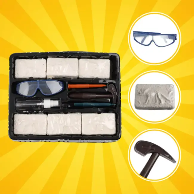 Kruzzel dinosaurus opgraafset 6-in-1 – educatief fossielen speelgoed met gereedschap voor jonge ontdekkers