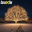 Izoxis kerstverlichting buiten – 500 LED lampjes, warm wit lichtsnoer van 35 meter
