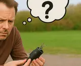 7-polige vs. 13-polige stekker: welke heb je nodig voor je caravan, aanhanger of trailer?