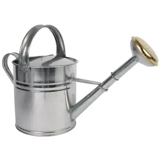 Hendrik Jan Gieter 5 liter verzinkt