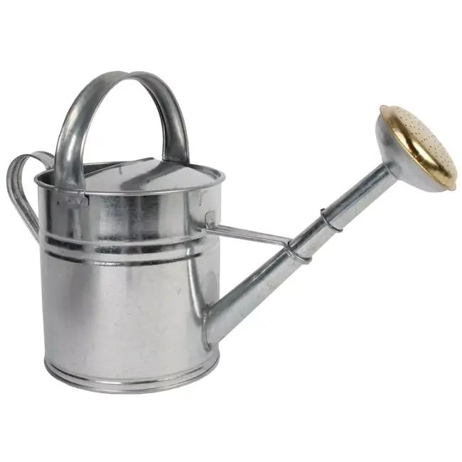 Hendrik Jan Verzinkte gieter 5 liter met versterkte bodemrand, afneembare broes en comfortabel hengsel