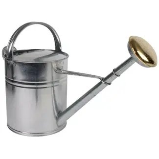 Hendrik Jan Verzinkte stalen gieter 9 liter met versterkte bodemrand, afneembare broes en volle straal