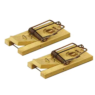 Hendrik Jan Houten muizenvallen 10 cm set 2 stuks met sterke veer en verkoperd draad, snel te spannen
