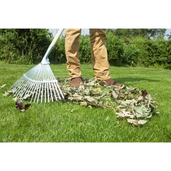 Hendrik Jan Verzinkte bladhark 440 mm met 22 tanden, essenhouten steel 150 cm en FSC-keurmerk