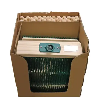 Talen Tools Terrasbezem - Harde haren - Houten steel - Display - 32 stuks