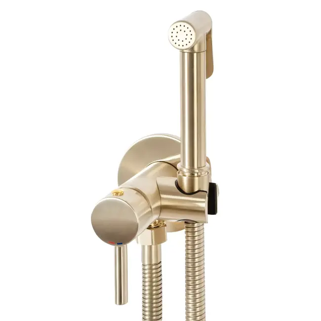 REA Inbouw Bidetmengkraan Wandmontage in Goud Geborsteld Messing met Vast Uitloop voor Luxe Badkamer