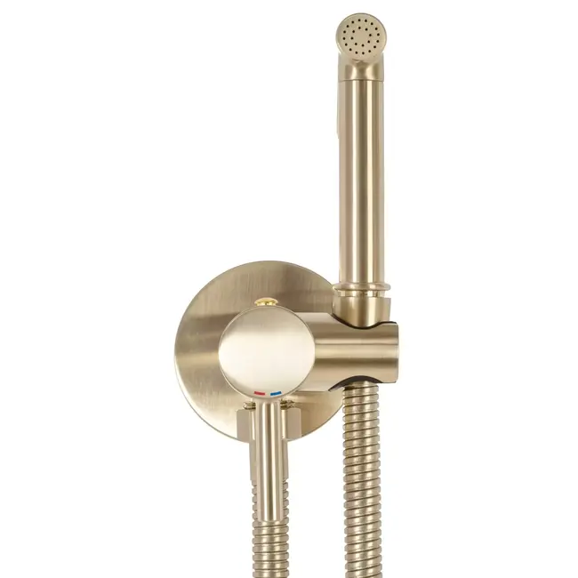 REA Inbouw Bidetmengkraan Wandmontage in Goud Geborsteld Messing met Vast Uitloop voor Luxe Badkamer