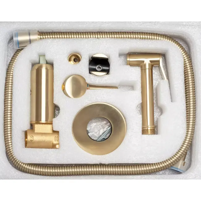 REA Inbouw Bidetmengkraan Wandmontage in Goud Geborsteld Messing met Vast Uitloop voor Luxe Badkamer