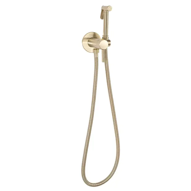 REA Inbouw Bidetmengkraan Wandmontage in Goud Geborsteld Messing met Vast Uitloop voor Luxe Badkamer