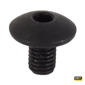 Orit Mesbout SS/TS/MFK/SL