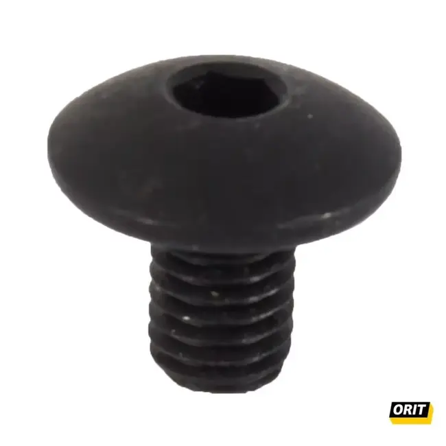 Orit Mesbout SS/TS/MFK/SL