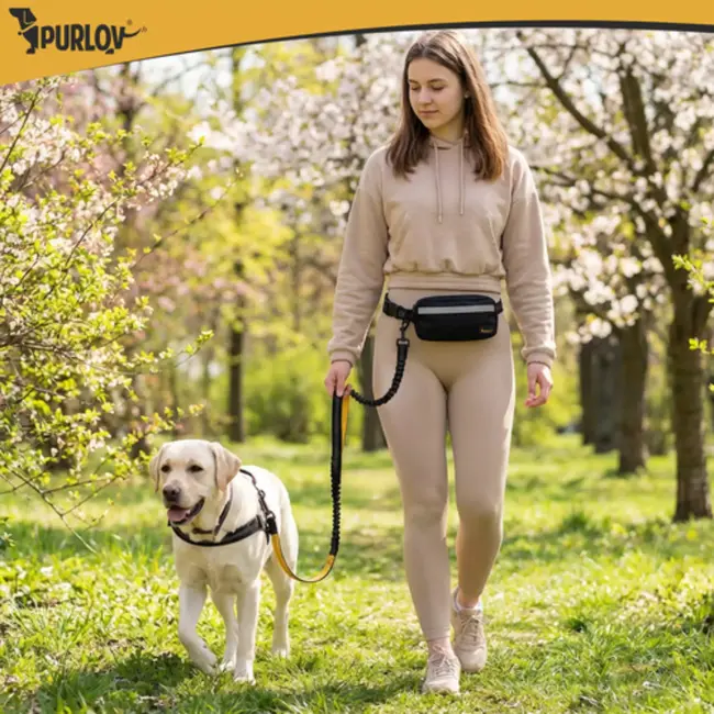 Purlov Verstelbare heupgordel met hondenriem voor hardlopen en wandelen