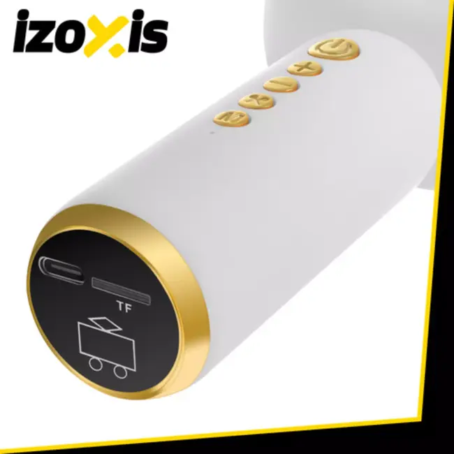 Izoxis Draadloze witte karaoke microfoon voor kinderen met speaker en verlichting