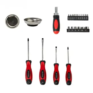 Benson Schroevendraaier bits set 22-delig