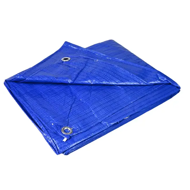 Benson Dekzeil 1,5x 2,5 mtr blauw - maat 1,5x 2,5 m - PE