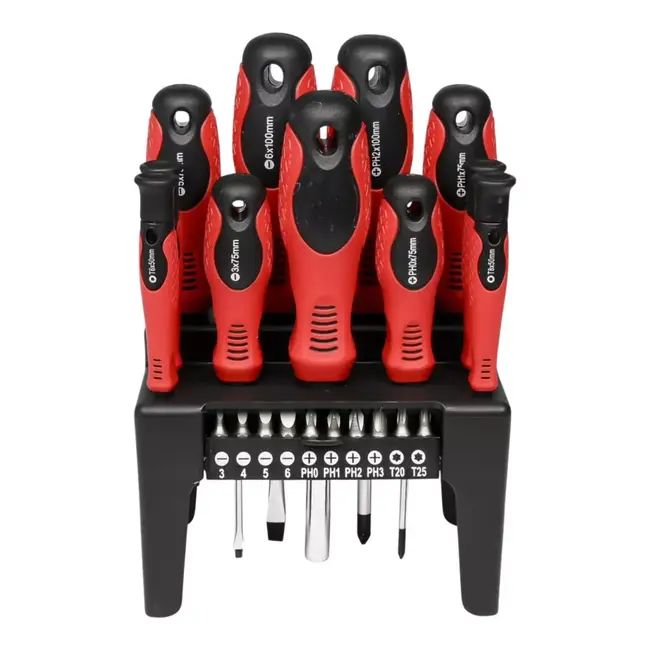 Benson Schroevendraaier en bit set in rek 21-delig - 10 x 25 mm - 6 mm - T10 - T15 - T20 - T25