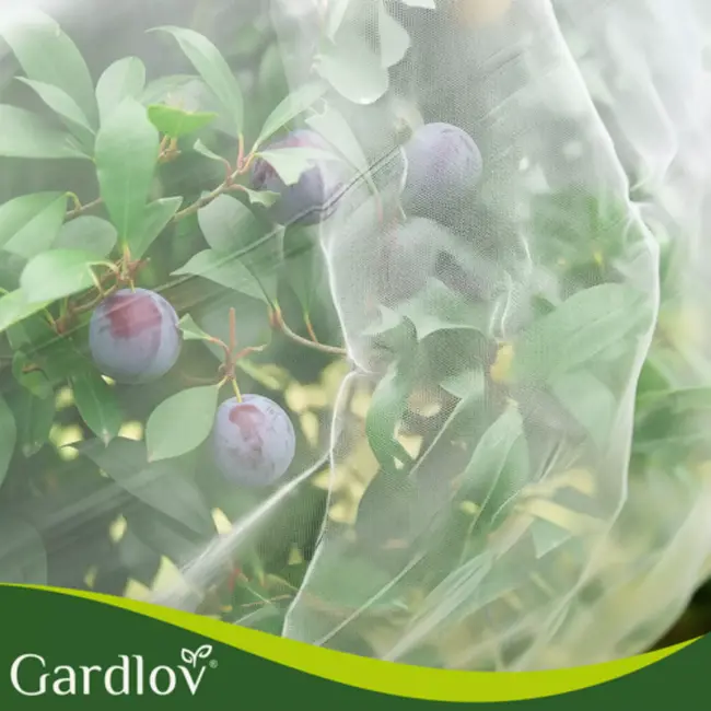 Gardlov Beschermnet 3 x 6 m wit HDPE fijn gaas tegen insecten en vogels voor moestuin