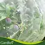 Gardlov Beschermnet 3 x 6 m wit HDPE fijn gaas tegen insecten en vogels voor moestuin