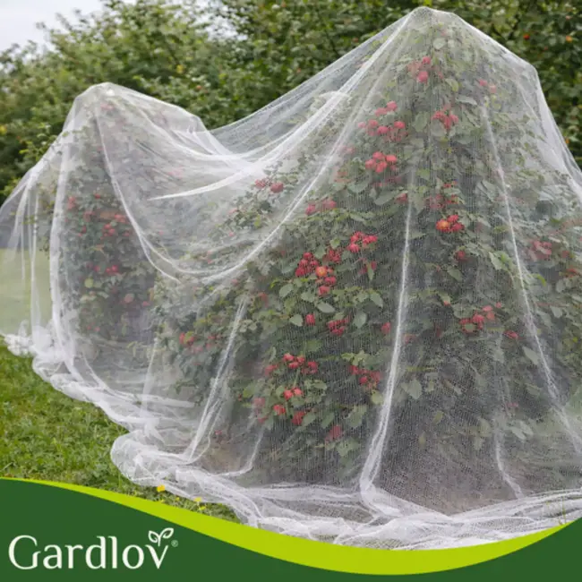 Gardlov Beschermnet 3 x 6 m wit HDPE fijn gaas tegen insecten en vogels voor moestuin