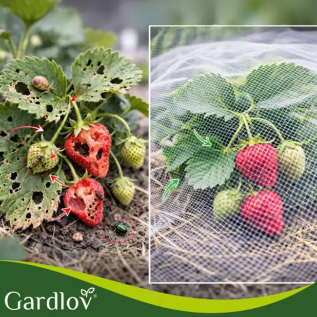 Gardlov Beschermnet 3 x 6 m wit HDPE fijn gaas tegen insecten en vogels voor moestuin