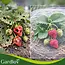 Gardlov Beschermnet 3 x 6 m wit HDPE fijn gaas tegen insecten en vogels voor moestuin