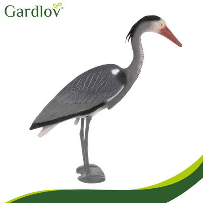Gardlov Grijze reiger tuindecoratie 66 cm op prikker van PE voor vijver, border en bloembed in de tuin