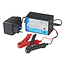 ProPlus Accutrainer - Druppellader - 12V - 10-250 Ah - Automatisch Laden