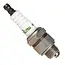 John Gardener Bougie voor benzine sproeier 20 L voor betrouwbare ontsteking en optimale motorprestaties