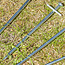 ProPlus Rotspen met dwarspen - staal - 17 cm - zilver - voor harde bodem