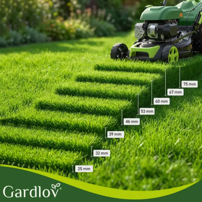 Gardlov Krachtige grasmaaier 196 cc met aandrijving en 4-in-1 functies voor gazononderhoud