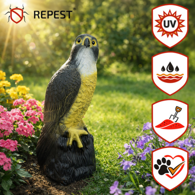 Repest Valk Vogelverschrikker - Realistisch en Diervriendelijk