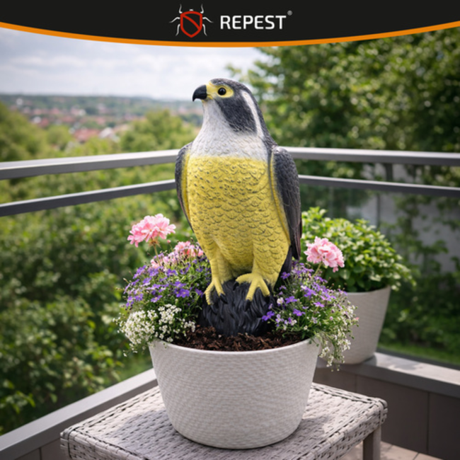 Repest Valk Vogelverschrikker - Realistisch en Diervriendelijk