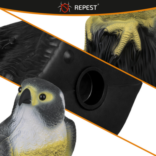 Repest Valk Vogelverschrikker - Realistisch en Diervriendelijk